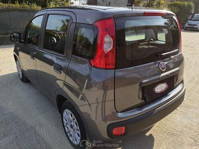 Fiat Panda FireFly 70cv S&S Hybrid Grigio usata Robassomero