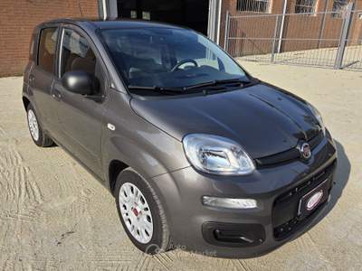 Fiat Panda FireFly 70cv S&S Hybrid Grigio usata Robassomero
