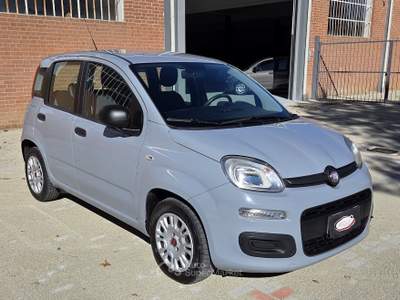 Fiat Panda EasyPower GPL Easy 69cv Grigio usata Robassomero