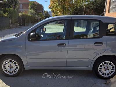 Fiat Panda EasyPower GPL Easy 69cv Grigio usata Robassomero