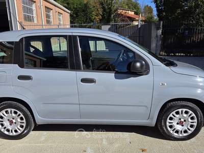 Fiat Panda EasyPower GPL Easy 69cv Grigio usata Robassomero