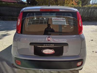 Fiat Panda EasyPower GPL Easy 69cv Grigio usata Robassomero
