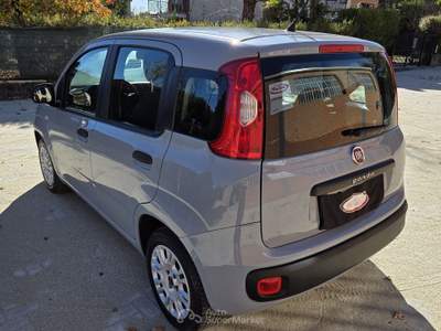 Fiat Panda EasyPower GPL Easy 69cv Grigio usata Robassomero