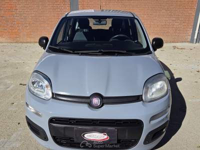 Fiat Panda EasyPower GPL Easy 69cv Grigio usata Robassomero