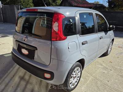 Fiat Panda EasyPower GPL Easy 69cv Grigio usata Robassomero