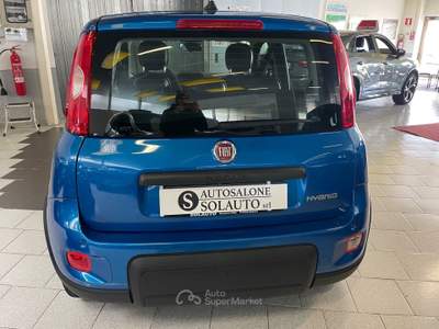 Fiat Panda FireFly S&S Hybrid 5 Posti Sensori Blu/Azzurro usata Gozzano