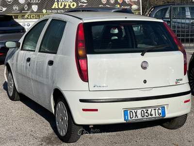 Fiat Punto 3532076833 INFO PINO Bianco usata Mercogliano