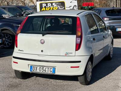 Fiat Punto 3532076833 INFO PINO Bianco usata Mercogliano