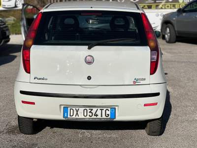 Fiat Punto 3532076833 INFO PINO Bianco usata Mercogliano