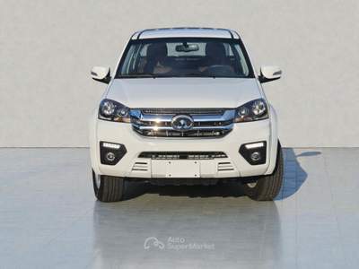 Great Wall Steed 2.4 Ecodual 4WD Premium Bianco usata Cassacco