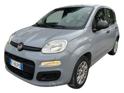 Fiat Panda 1.2 Lounge Grigio usata Oderzo