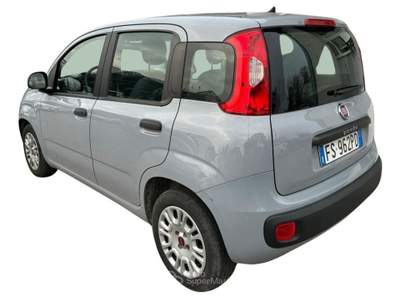 Fiat Panda 1.2 Lounge Grigio usata Oderzo