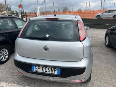 Fiat Punto Evo 3532076833 INFO PINO Argento usata Mercogliano
