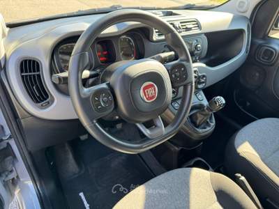 Fiat Panda LOUNGE GPL 69 CV NEO PATENTATI Grigio usata Venezia