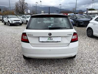 Skoda Fabia Fabia 1.0 MPI 75 CV Executive Bianco usata Massa
