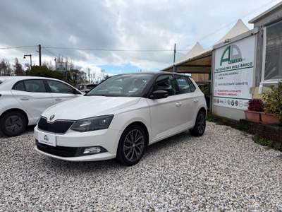 Skoda Fabia Fabia 1.0 MPI 75 CV Executive Bianco usata Massa