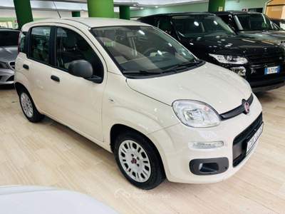 Fiat Panda  1.3 MJT 95 CV S&S Lounge Beige usata Morano Calabro