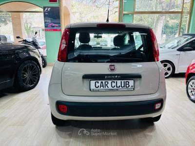 Fiat Panda  1.3 MJT 95 CV S&S Lounge Beige usata Morano Calabro