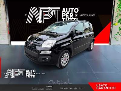 Fiat Panda Panda 1.2 Lounge 69cv Nero usata Carrara