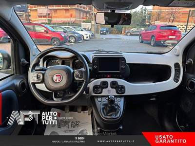 Fiat Panda Panda 1.0 firefly hybrid s&s 70cv usata Carrara