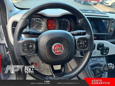 Fiat Panda Panda 1.0 firefly hybrid s&s 70cv usata Carrara