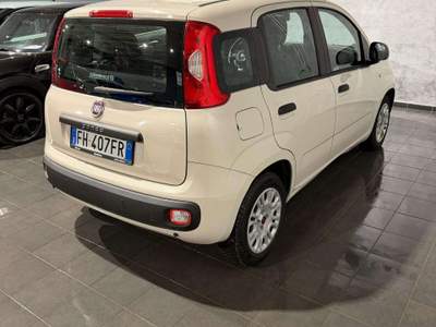 Fiat Panda Panda 1.3 MJT 95 CV S&S Easy Beige usata Cornaredo