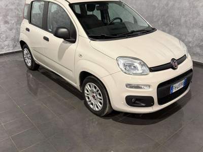 Fiat Panda Panda 1.3 MJT 95 CV S&S Easy Beige usata Cornaredo