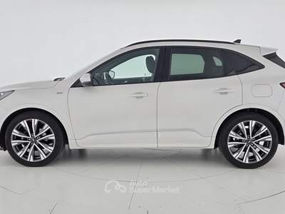 Ford Kuga Kuga 1.5 ecoblue ST-Line X 2wd 120cv auto Bianco usata Reggio nell'Emilia