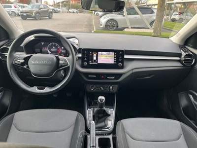 Skoda Fabia Fabia 1.0 TSI 95 CV Young Edition Argento usata Castiglione delle Stiviere
