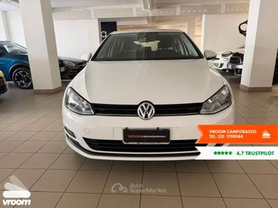 Volkswagen Golf Golf 1.6 TDI 5p. Comfortline BlueMotion Technology Grigio usata Campobasso