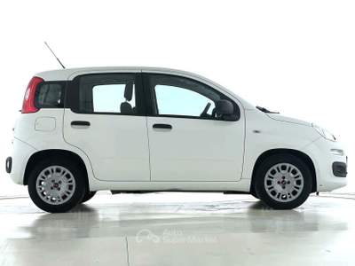 Fiat Panda Panda 1.0 FireFly S&S Hybrid Bianco usata Bastia Umbra