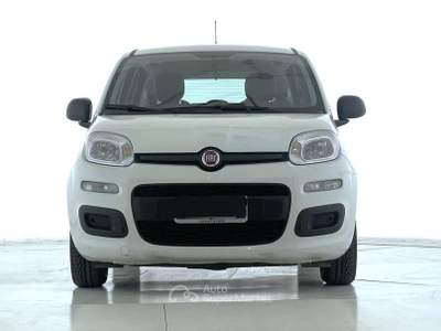 Fiat Panda Panda 1.0 FireFly S&S Hybrid Bianco usata Bastia Umbra