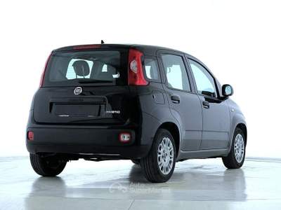 Fiat Panda Panda 1.0 FireFly S&S Hybrid Nero usata Bastia Umbra