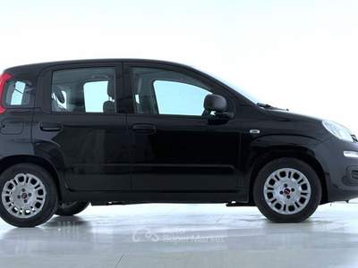 Fiat Panda Panda 1.0 FireFly S&S Hybrid Nero usata Bastia Umbra
