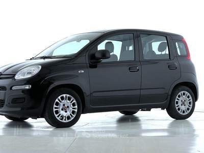 Fiat Panda Panda 1.0 FireFly S&S Hybrid Nero usata Bastia Umbra