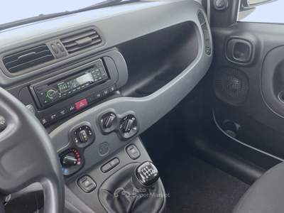 Fiat Panda Panda 1.0 FireFly S&S Hybrid Bianco usata Bastia Umbra