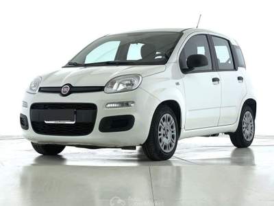 Fiat Panda Panda 1.0 FireFly S&S Hybrid Bianco usata Bastia Umbra