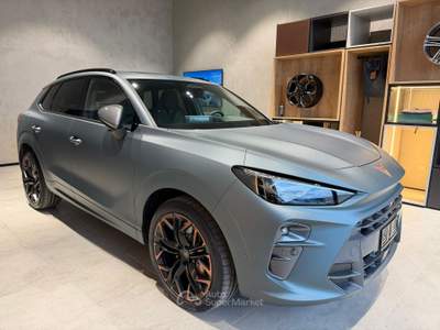 Cupra Terramar Terramar 2.0 TSI DSG 4Drive VZ Grigio usata Bastia Umbra