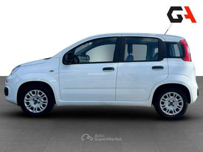 Fiat Panda Panda 1.2 Easy Bianco usata Ercolano