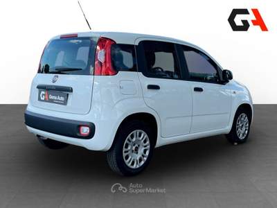 Fiat Panda Panda 1.2 Easy Bianco usata Ercolano