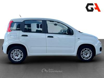 Fiat Panda Panda 1.2 Easy Bianco usata Ercolano