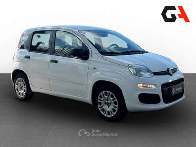 Fiat Panda Panda 1.2 Easy Bianco usata Ercolano