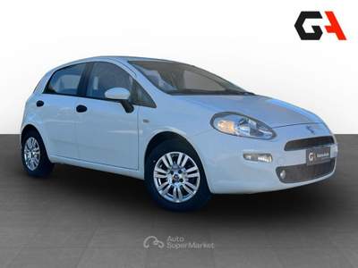 Fiat Punto Punto 1.3 MJT II 75 CV 5 porte Street usata Ercolano