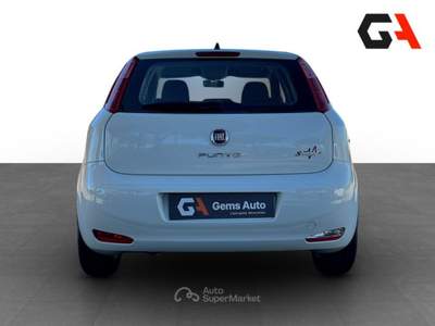 Fiat Punto Punto 1.3 MJT II 75 CV 5 porte Street usata Ercolano