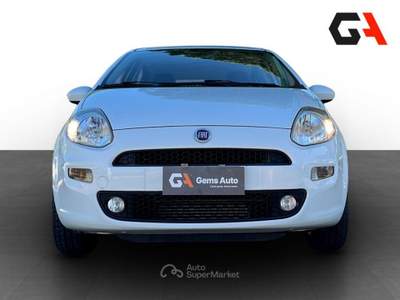 Fiat Punto Punto 1.3 MJT II 75 CV 5 porte Street usata Ercolano