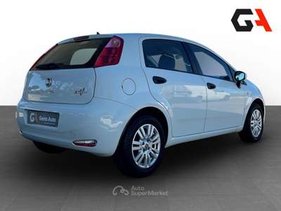 Fiat Punto Punto 1.3 MJT II 75 CV 5 porte Street usata Ercolano