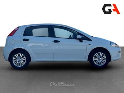 Fiat Punto Punto 1.3 MJT II 75 CV 5 porte Street usata Ercolano