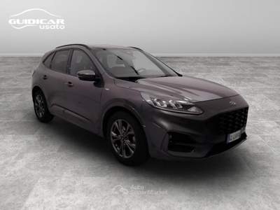 Ford Kuga 1.5 EcoBlue ST-Line 2WD Grigio usata Lucca