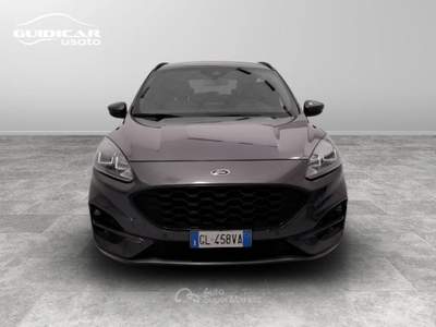 Ford Kuga 1.5 EcoBlue ST-Line 2WD Grigio usata Lucca