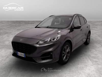 Ford Kuga 1.5 EcoBlue ST-Line 2WD Grigio usata Lucca